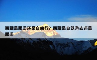 西藏是跟团还是自由行？西藏是自驾游去还是跟团