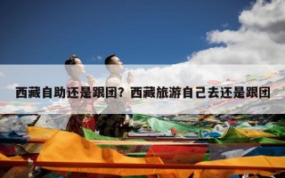 西藏自助还是跟团？西藏旅游自己去还是跟团