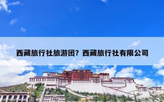 西藏旅行社旅游团？西藏旅行社有限公司