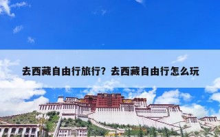 去西藏自由行旅行？去西藏自由行怎么玩