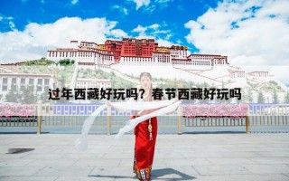 过年西藏好玩吗？春节西藏好玩吗