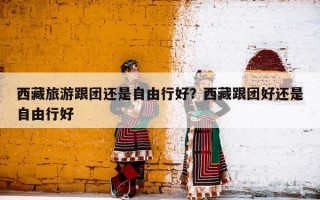 西藏旅游跟团还是自由行好？西藏跟团好还是自由行好