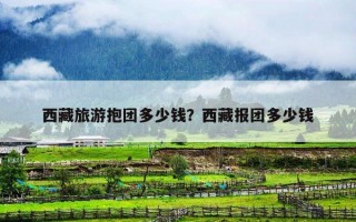 西藏旅游抱团多少钱？西藏报团多少钱
