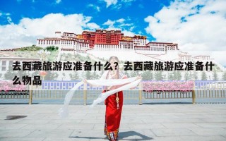 去西藏旅游应准备什么？去西藏旅游应准备什么物品