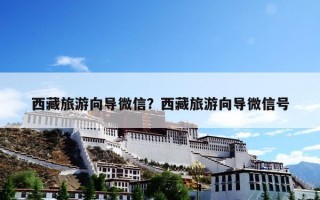 西藏旅游向导微信？西藏旅游向导微信号