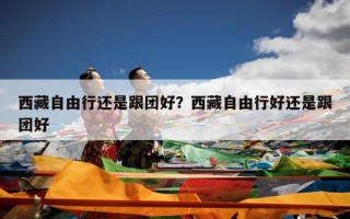 西藏自由行还是跟团好？西藏自由行好还是跟团好