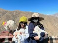 两个人西藏旅游7天要多少？西藏旅游两个人大概需要花多钱？