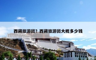 西藏旅游团？西藏旅游团大概多少钱