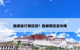 西藏旅行跟团游？西藏跟团游攻略